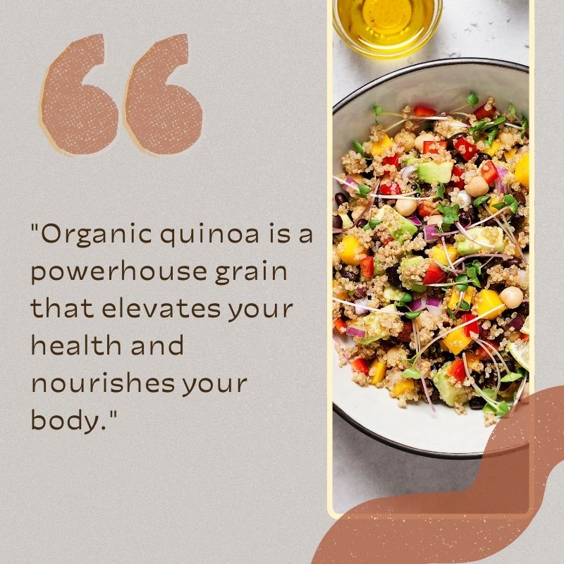 Why Organic Quinoa is a Must-Have for a Balanced and Nutrient-Rich Diet